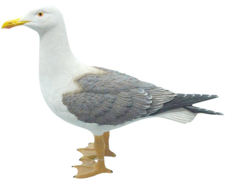 Möwe H. 39cm (mit kleinem Fehler) stehend Figur Polystone - MEER DEKO