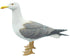 Möwe H. 39cm (mit kleinem Fehler) stehend Figur Polystone - MEER DEKO